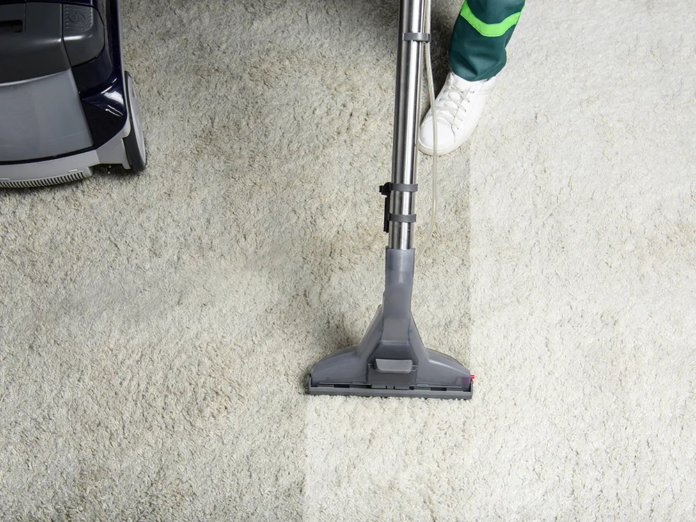 serv_carpet cleaning